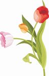 矢量图 雕刻 印花图案 手绘