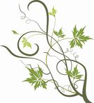矢量图 雕刻 印花图案 手绘