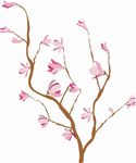 矢量图 雕刻 印花图案 手绘