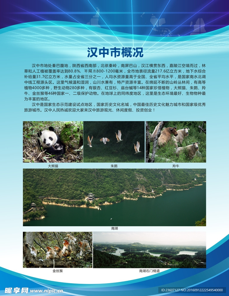 汉中展板背景