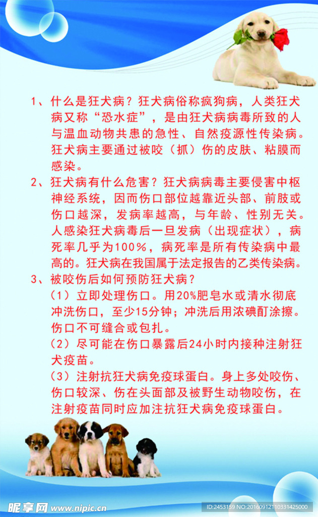 狂犬病预防须知