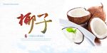 椰子展板设计