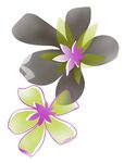 浪漫花朵素材