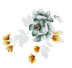唯美花朵素材