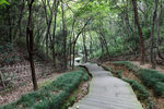 绍兴大禹陵景区