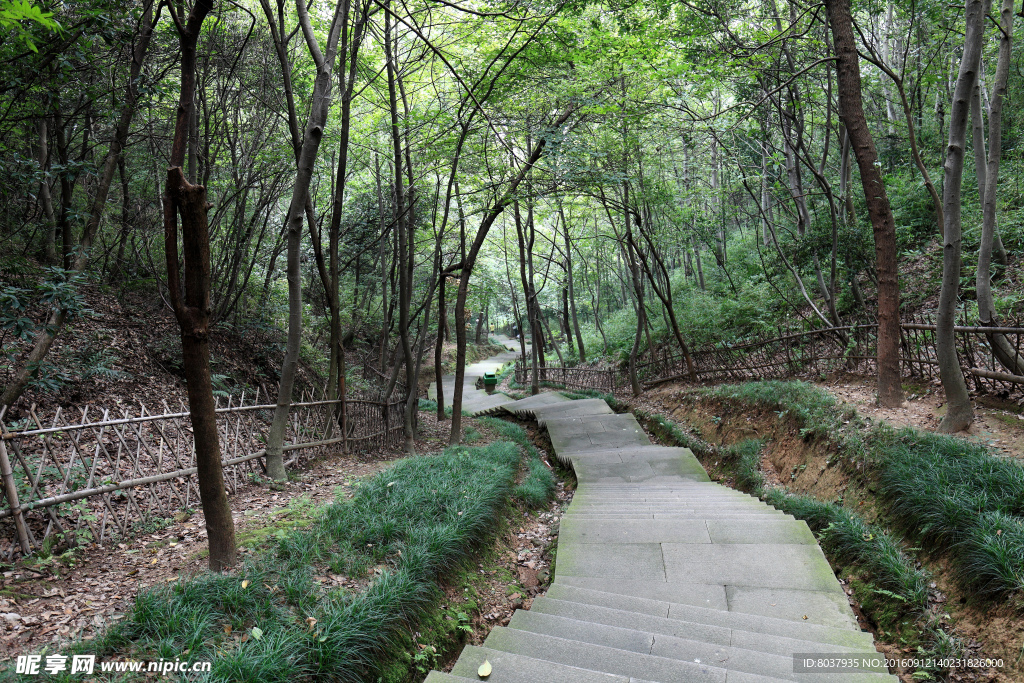 绍兴大禹陵景区