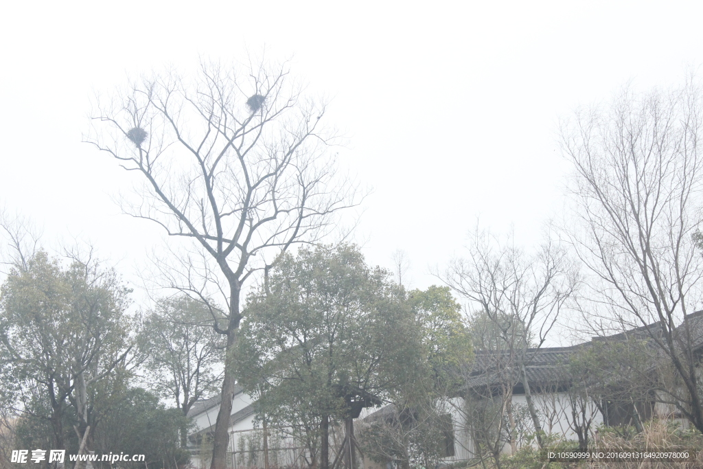 西溪湿地冬景房子