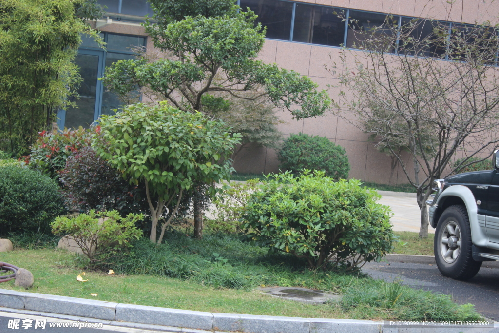 冬日风景