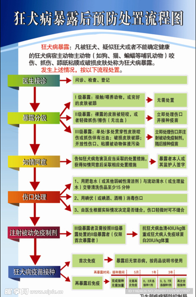 狂犬病暴露后预防处置流程图