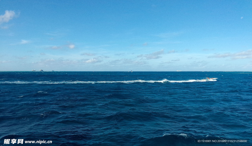 大海