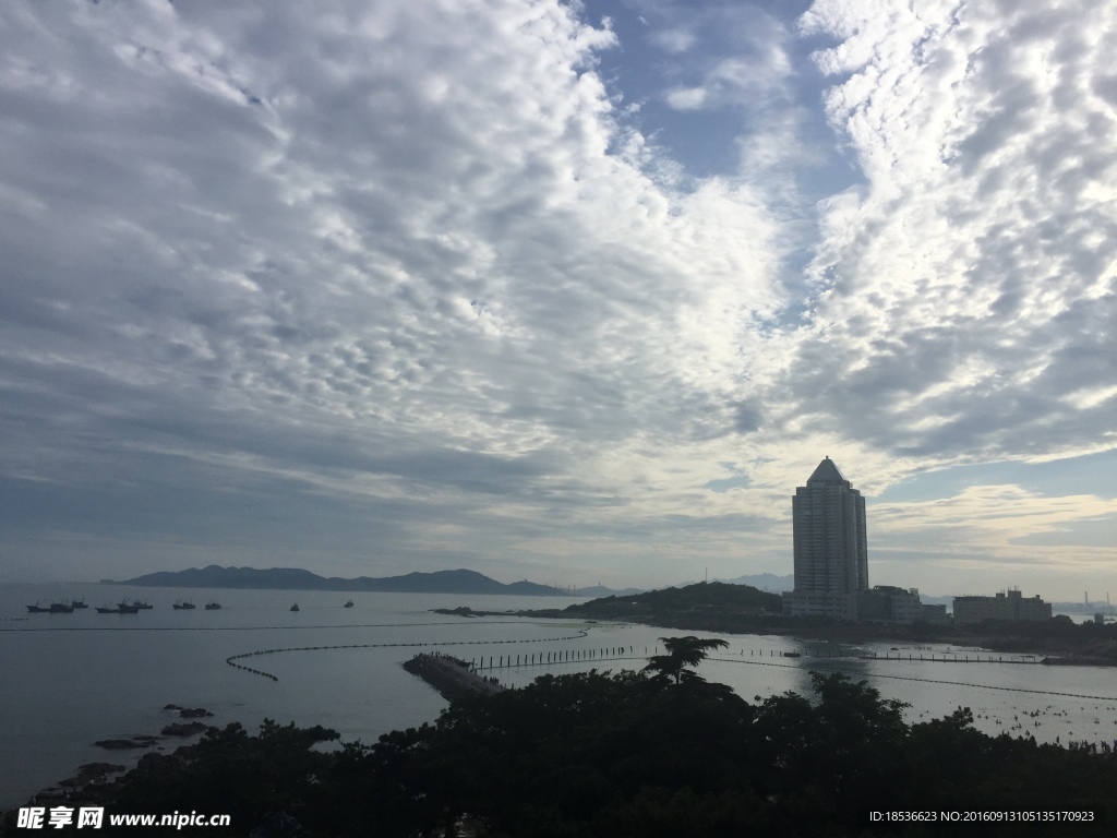 大海