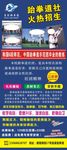跆拳道展架