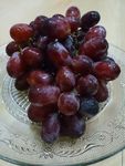 红葡萄