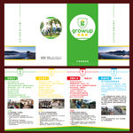 四折页游学宣传册