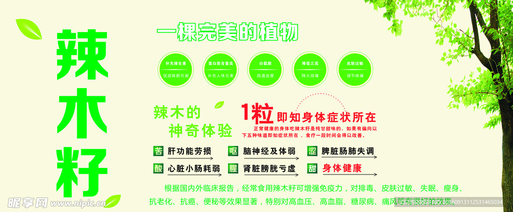 辣木籽