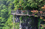张家界 山林 栈道