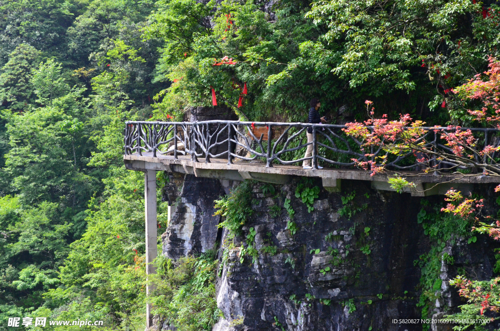 张家界 山林 栈道