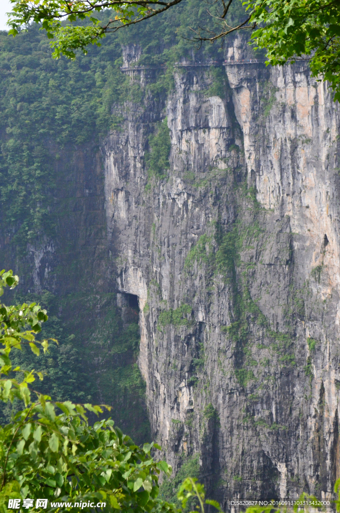 张家界武陵源风景 悬崖