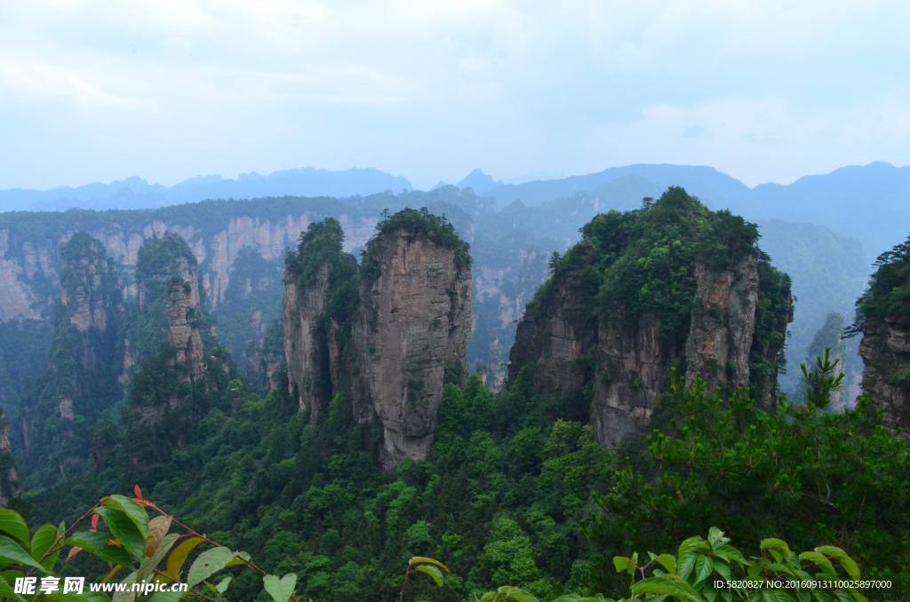 张家界 山林