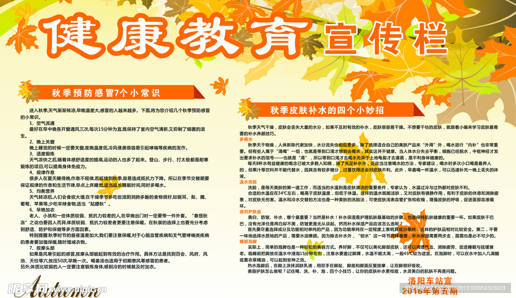秋季健康教育宣传栏
