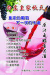 葡萄酒广告