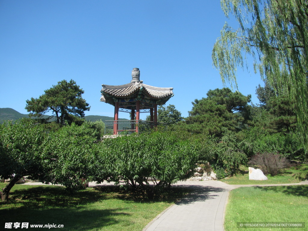 植物园风景