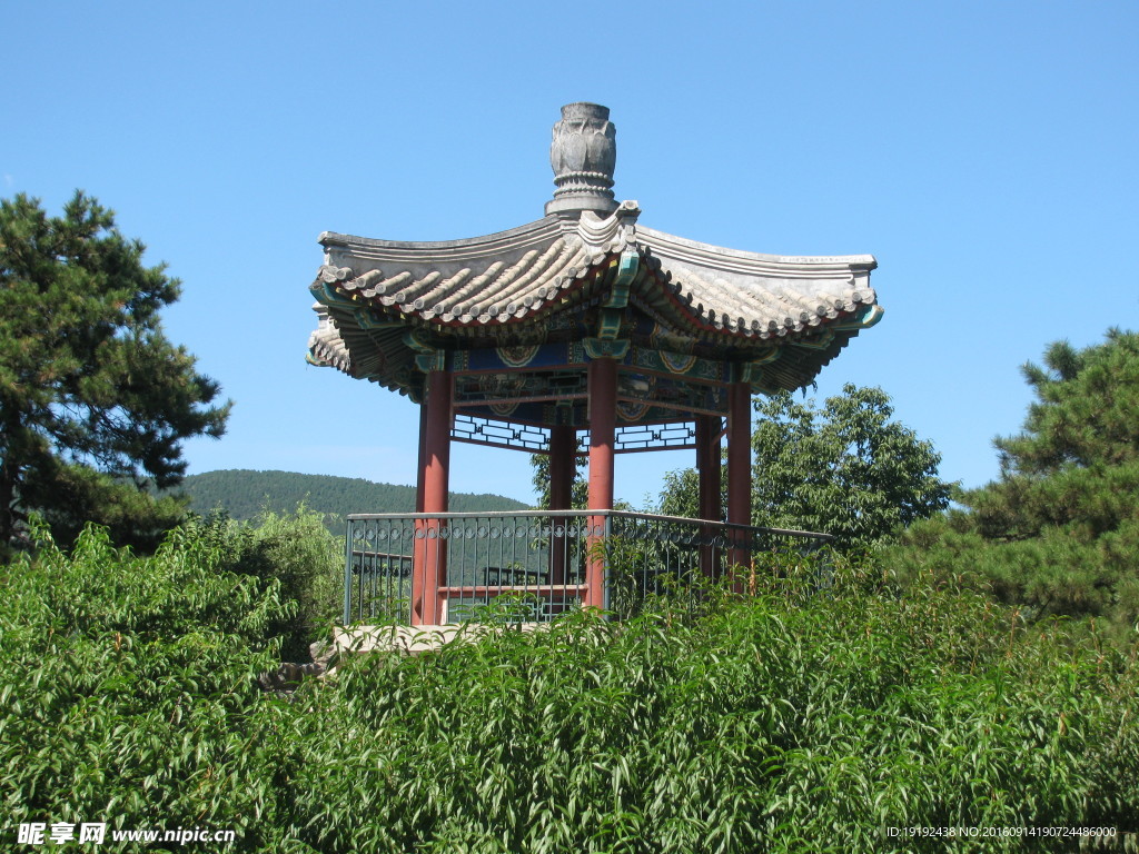 植物园风景