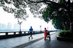 江边晨景
