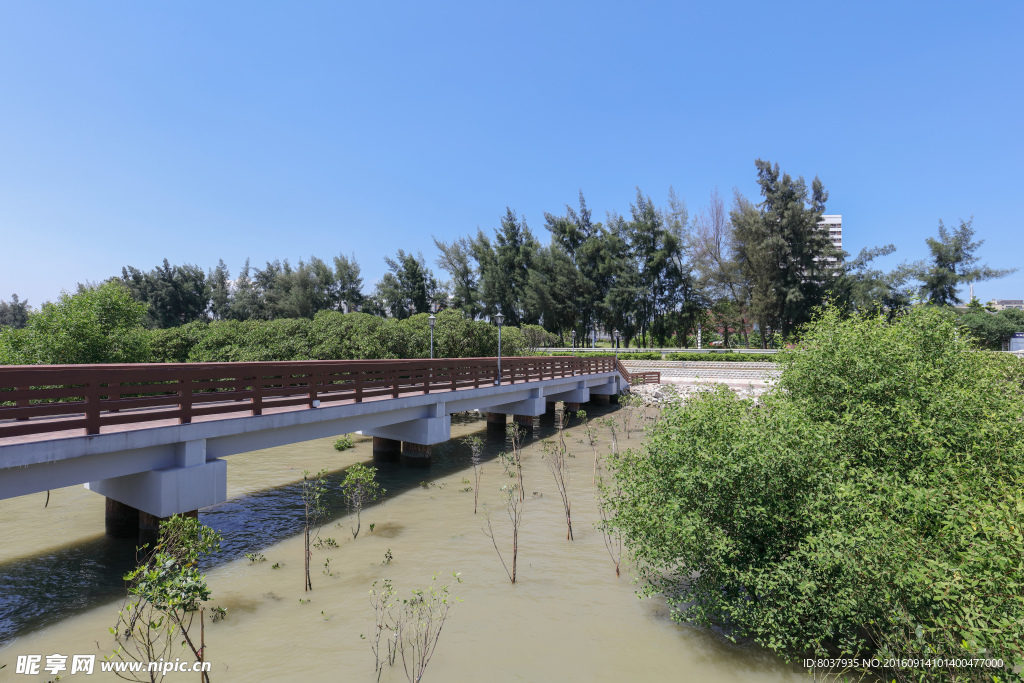 深圳宝安西湾红树林公园