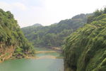 黄果树