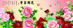 牡丹花  花开富贵