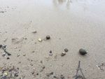 沙滩
