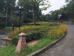 花园