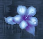 浪漫唯美兰花背景底纹
