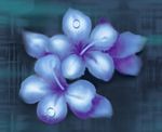 浪漫唯美兰花背景底纹