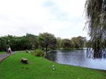 新西兰鸭子湖畔风景