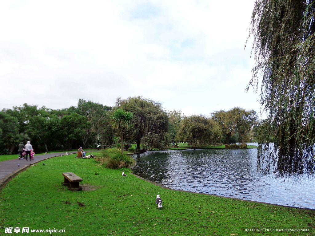 新西兰鸭子湖畔风景