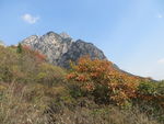 少室山秋景