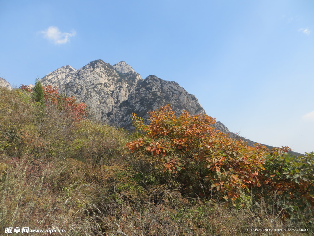 少室山秋景