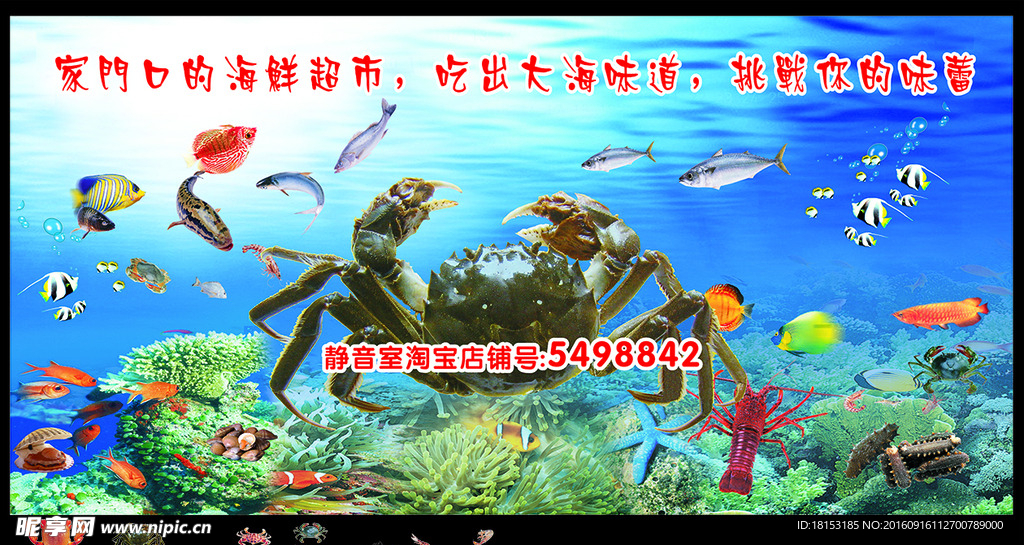 海底世界