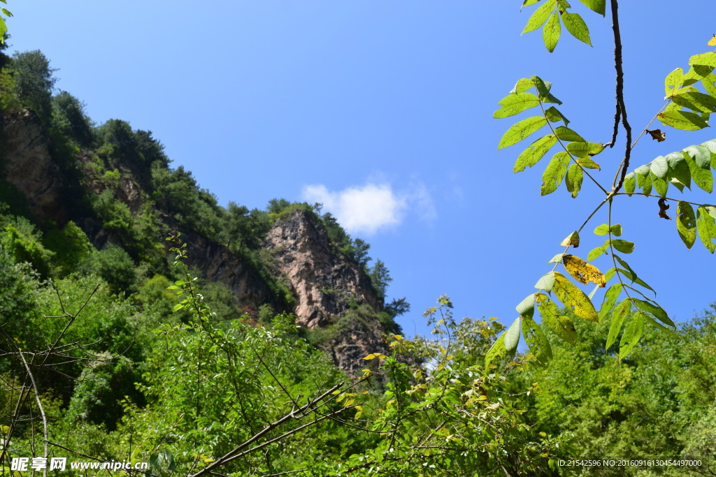 官鹅沟