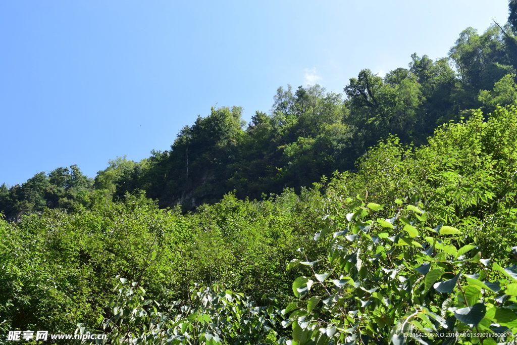 官鹅沟