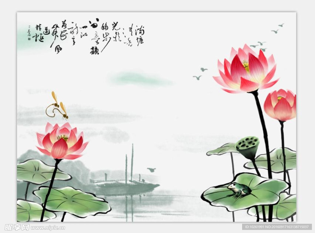 荷花