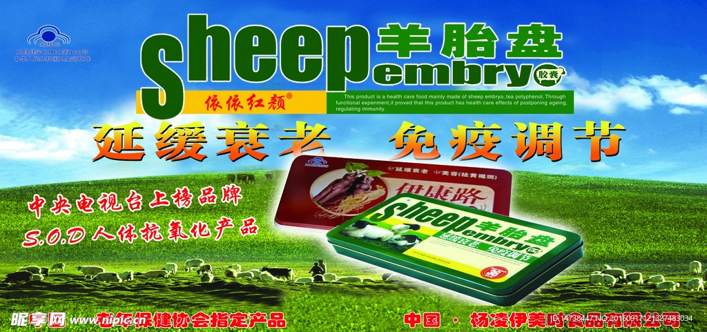 羊胎盘