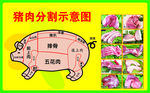 猪肉分割示意图