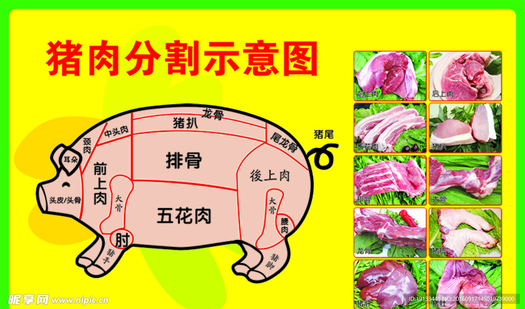 猪肉分割示意图