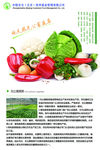 蔬菜海报