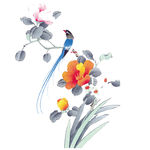 手绘花鸟 分层图