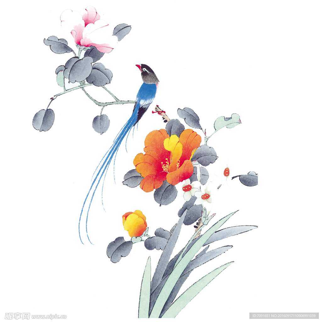 手绘花鸟 分层图
