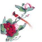 手绘花鸟 分层图